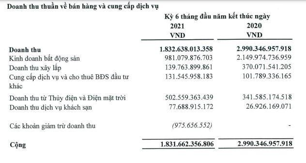 Cơ cấu doanh thu HDG trong 6 tháng đầu năm 2021