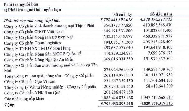 Phải trả người bán tới ngày 30/6/2021 của CTCP Nông nghiệp BAF Việt Nam