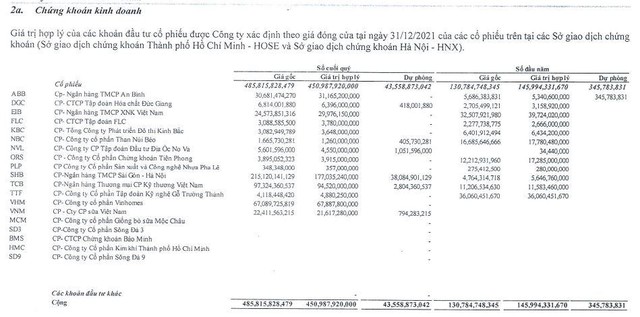 Danh mục đầu tư chứng khoán của NDN tính tới 31/12/2021