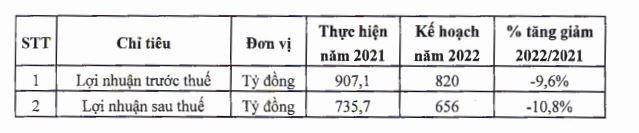 Kế hoạch năm 2022 của VIX.