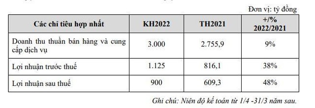 Kế hoạch năm 2022 của TCH.