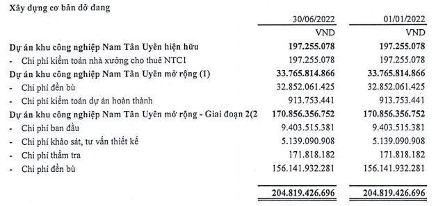 Tài sản dở dang dài hạn của NTC tới 30/6/2022.