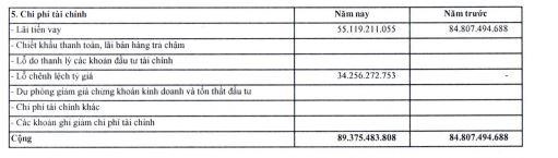 HND bắt đầu ghi nhận lỗ tỷ giá trong 6 tháng đầu năm 2022.