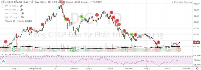 Cổ phiếu DIG bị bán tháo trong giai đoạn đầu năm.