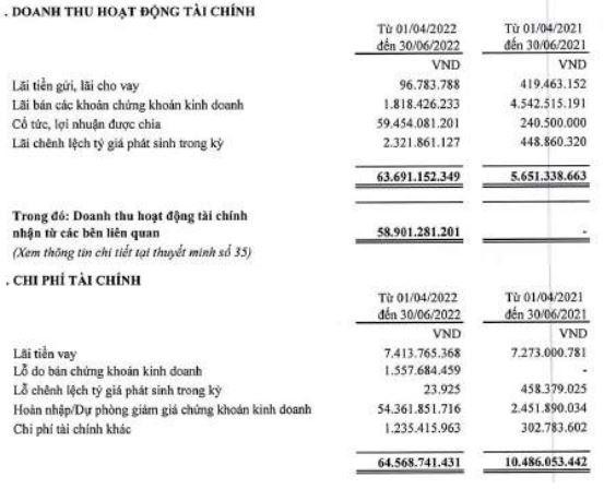 Cơ cấu doanh thu và chi phí tài chính của Thép Tiến Lên trong quý II/2022 (Nguồn: BCTC).