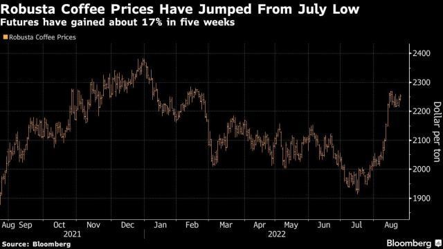 Giá cà phê Robusta