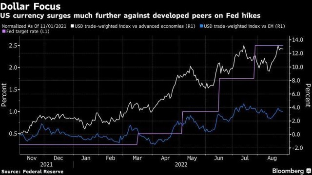 Thước đo giá trị của đồng đô la với các nền kinh tế phát triển và với các nền kinh tế mới nổi Thước đo giá trị của đồng đô la với các nền kinh tế phát triển và với các nền kinh tế mới nổi