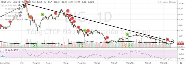 Cổ phiếu DIG liên tục giảm mạnh từ đầu năm tới nay (Nguồn: FireAnt).