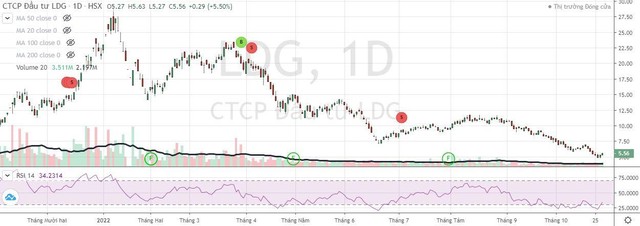 Cổ phiếu LDG bị bán tháo từ đầu năm tới nay.