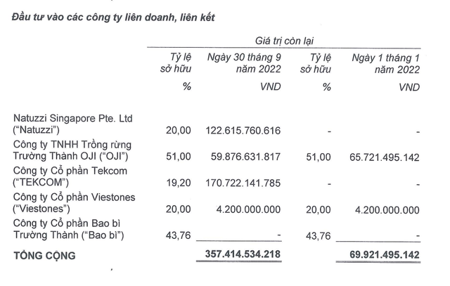Cơ cấu khoản đầu tư vào công ty liên doanh, liên kết.