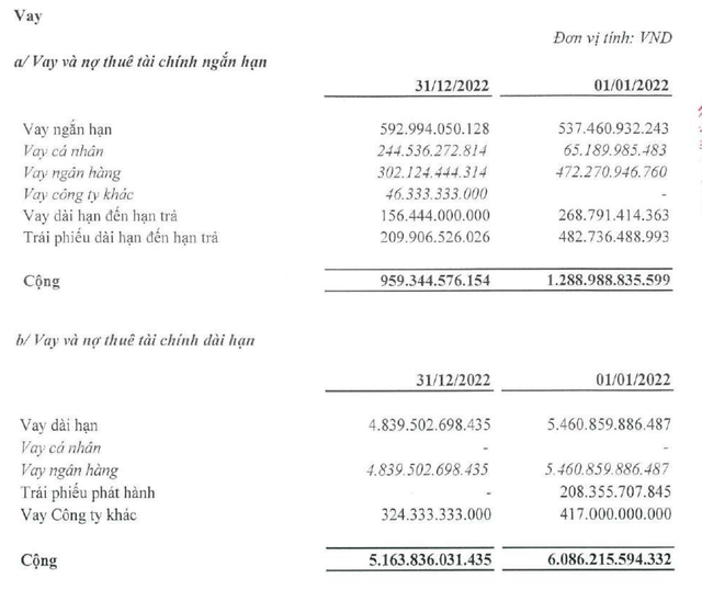 Cơ cấu nợ vay tới 31/12/2022