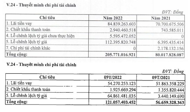 PLC tăng lỗ tỷ giá trong quý IV và cả năm 2022.