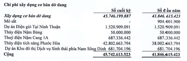 Trường Thành Group vẫn còn sở hữu dự án Thuỷ điện Nậm Búng
