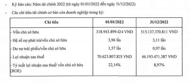 Đá quý và Trang sức Đức Tiến có lãi trong năm 2022