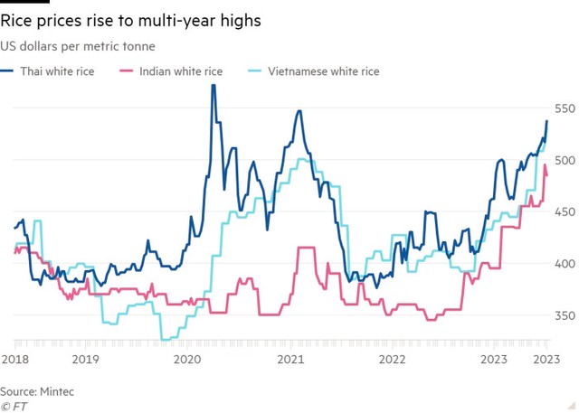 Giá gạo Việt Nam, Thái Lan và Ấn Độ bật tăng