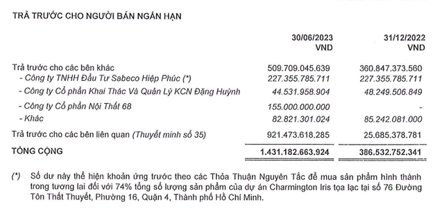TTC Land ghi nhận trả trước cho bên liên quan tăng mạnh