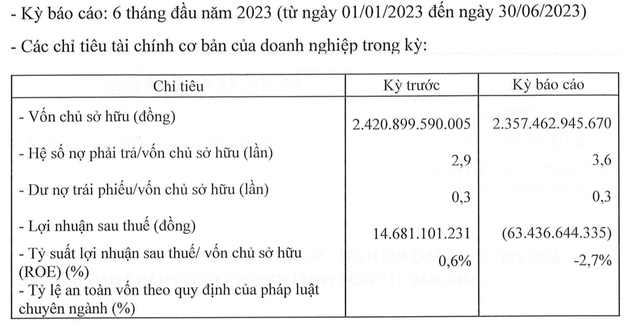 Công ty cổ phần Toàn Hải Vân lỗ 63,44 tỷ đồng trong nửa đầu năm 2023