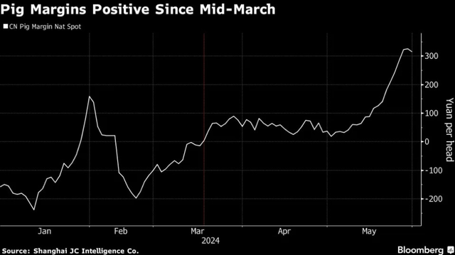Biên lợi nhuận từ chăn nuôi lợn cải thiện