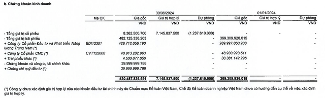 Danh mục đầu tư chứng khoán tại thời điểm 30/6/2024 Danh mục đầu tư chứng khoán tại thời điểm 30/6/2024