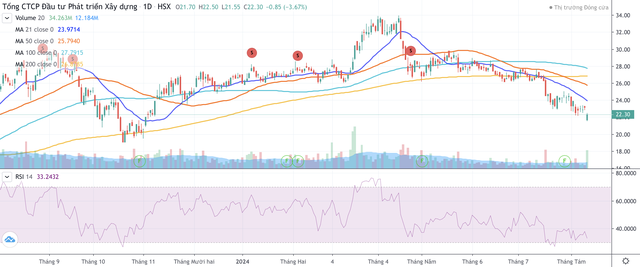 Thanh khoản cổ phiếu DIG tăng đột biến trong phiên ngày 12/8