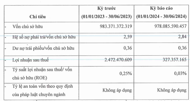 Công ty TNHH MTV Đầu tư DHA ghi nhận lợi nhuận giảm nửa đầu năm 2024