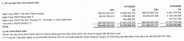 Các khoản nợ quá hạn thanh toán của LDG tại thời điểm 31/12/2024