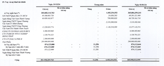 Cơ cấu nợ vay của VKC Holdings tại thời điểm cuối năm 2024
