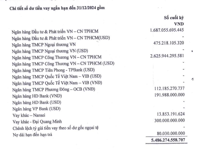 Một số khoản nợ lớn của Thép Pomina tại thời điểm cuối năm 2024