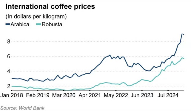 Giá hạt cà phê liên tục tăng