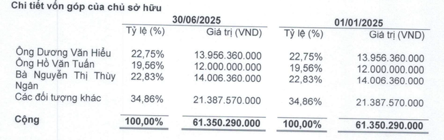 Cơ cấu cổ đông Đầu tư QP Xanh tại thời điểm 30/6/2025.