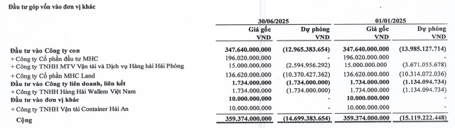 Danh sách các công ty con của MHC tại thời điểm 30/6/2025.