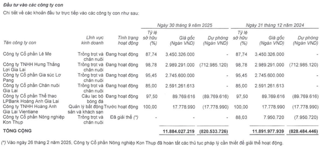 HAG lên kế hoạch niêm yết hai công ty con