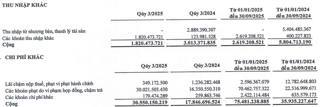 Lợi nhuận khác lỗ trong quý III do NBB bị phạt do vi phạm hợp đồng, chậm trả.