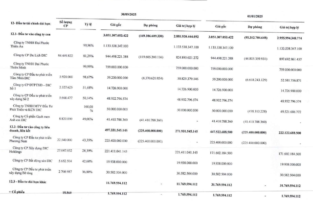 DIC Corp đã trích lập toàn bộ giá trị đầu tư vào DIC Phương Nam.