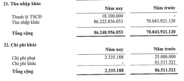 Cơ cấu thu nhập khác của Land Saigon trong năm 2025.