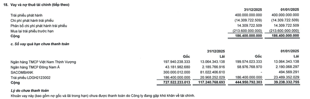 Đầu tư LDG ghi nhận khoản vay quá hạn chưa thanh toán tại thời điểm 31/12/2025.