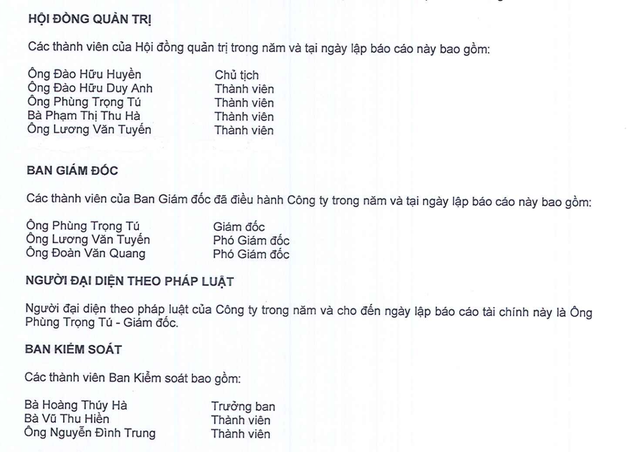 Danh sách lãnh đạo Ắc quy Tia Sáng tại thời điểm 31/12/2025.