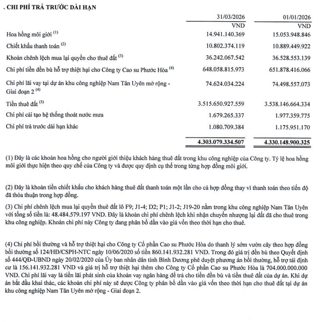 Chi phí trả trước dài hạn chiếm phần lớn tài sản NTC.