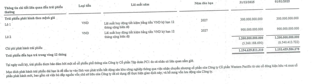 Thông tin hai lô trái phiếu của PC1. Nguồn: Báo cáo tài chính