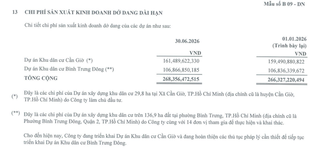 Cơ cấu tài sản dở dang dài hạn của Fideco tại thời điểm 30/6/2026. Cơ cấu tài sản dở dang dài hạn của Fideco tại thời điểm 30/6/2026.