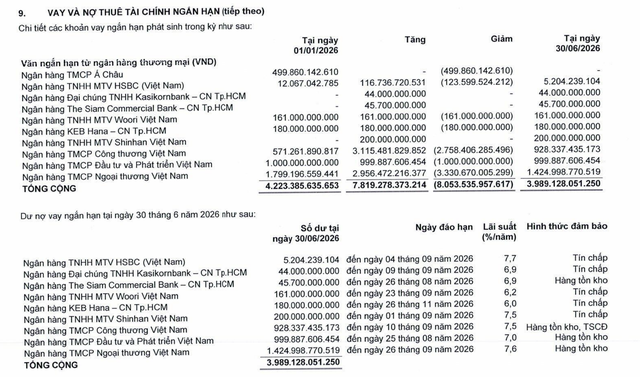 9 ngân hàng đang cho PNJ vay 3.989,1 tỷ đồng tại thời điểm 30/6/2026. 9 ngân hàng đang cho PNJ vay 3.989,1 tỷ đồng tại thời điểm 30/6/2026.
