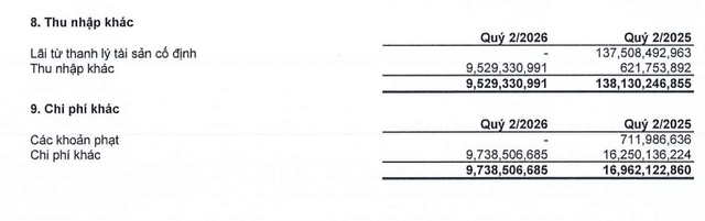 HBC hụt lợi nhuận khác do lãi từ thanh lý tài sản cố định.