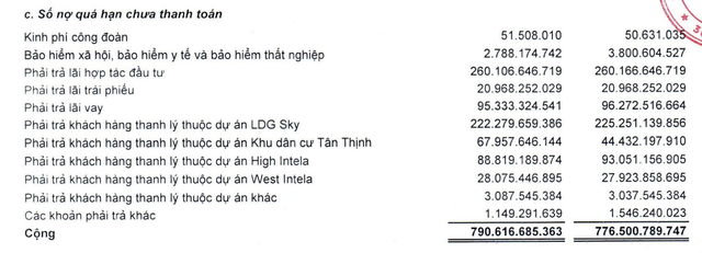 LDG đang nợ quá hạn chưa thanh toán lên tới 790,6 tỷ đồng tại thời điểm 30/6/2026. LDG đang nợ quá hạn chưa thanh toán lên tới 790,6 tỷ đồng tại thời điểm 30/6/2026.