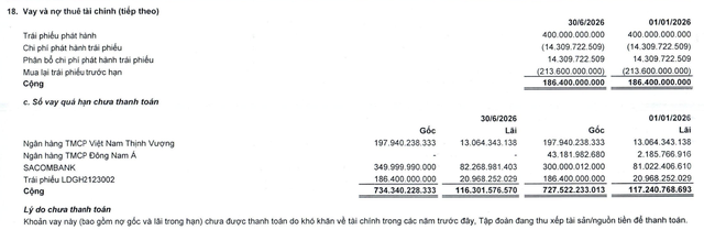 LDG đang chậm trả gốc và lãi vay ngân hàng và trái phiếu phát hành. LDG đang chậm trả gốc và lãi vay ngân hàng và trái phiếu phát hành.