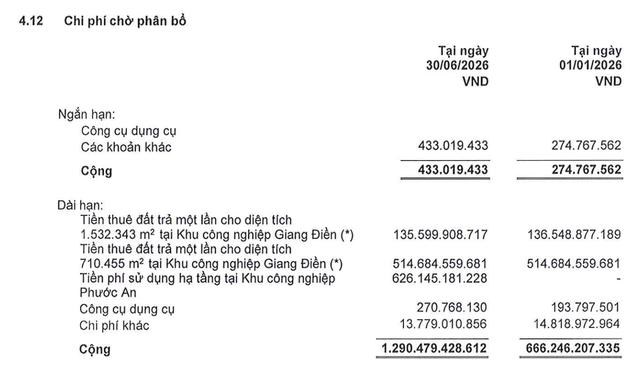 Sonadezi Giang Điền đã chuyển 626,1 tỷ đồng chi phí sử dụng hạ tầng KCN Phước An.