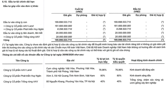 AAV đã đầu tư gần 8,3 tỷ đồng vào CTCP Phát triển Huy Ngân tại thời điểm 30/6/2026. AAV đã đầu tư gần 8,3 tỷ đồng vào CTCP Phát triển Huy Ngân tại thời điểm 30/6/2026.
