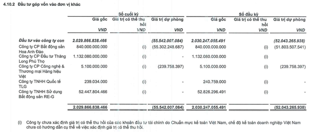 TIG đang trích lập khoản đầu tư vào CTCP Công nghệ và Thương mại Hàng Hiệu Việt.