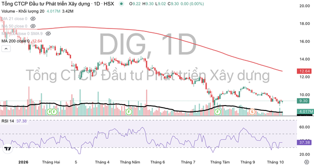 Cổ phiếu DIG vẫn đang dò đáy.