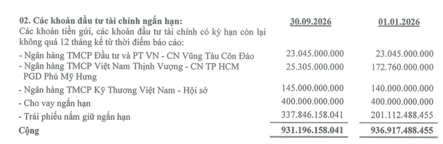 Danh mục đầu tư tài chính ngắn hạn của Long Sơn PIC tại thời điểm 30/9/2026. Danh mục đầu tư tài chính ngắn hạn của Long Sơn PIC tại thời điểm 30/9/2026.
