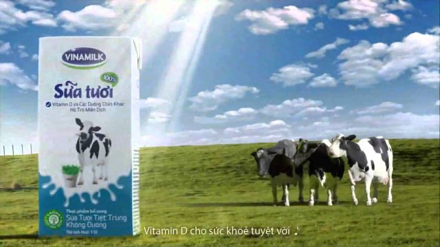 Cổ phiếu Bluechips- xu hướng đầu tư quý IV/2016 ảnh 2